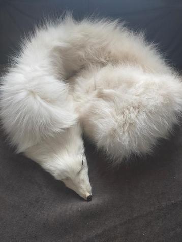 Écharpe de renard polaire en fourrure véritable, Enlèvement ou Envoi