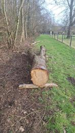 kersstam, Tuin en Terras, Brandhout, 3 tot 6 m³, Ophalen of Verzenden, Overige houtsoorten, Stammen