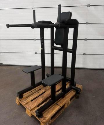 Technogym Dip Leg Raise beschikbaar voor biedingen