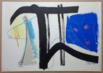 ANDRE VAN SCHUYLENBERGH / FIGURATIE / KLEURZEEFDRUK 49x70cm, Antiek en Kunst, Ophalen of Verzenden