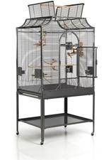 Te koop, Dieren en Toebehoren, Vogels | Overige Vogels