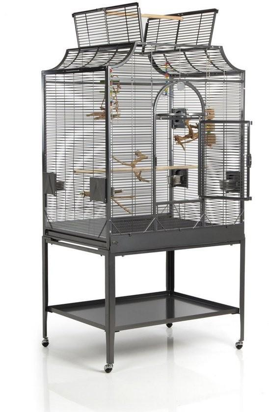 Te koop, Dieren en Toebehoren, Vogels | Overige Vogels
