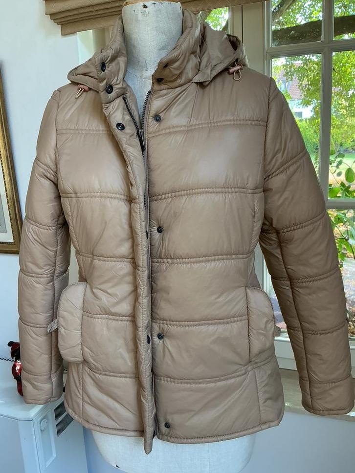 Gemoltoneerd winterjasje, maat 36-38, Kleding | Dames, Jassen | Winter, Ophalen of Verzenden