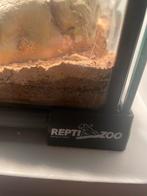 Gecko leopard dans son terrarium, Dieren en Toebehoren, Ophalen, Zo goed als nieuw