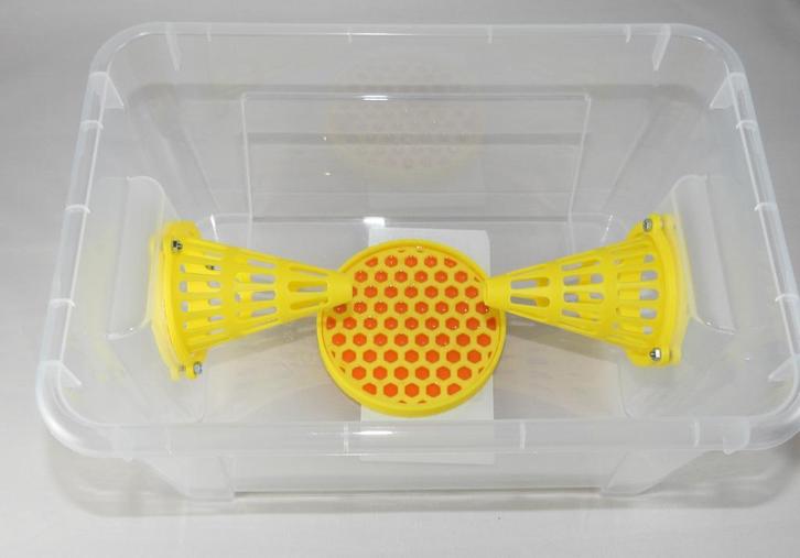 Selectieve lokval : 5 Liter box met 2x 60mm conus, Dieren en Toebehoren, Insecten en Spinnen, Overige soorten