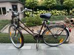 Kotfietsen 75euro/stuk, Fietsen en Brommers, Ophalen, Zo goed als nieuw