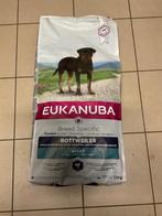 Eukanuba Rottweiler brokken, Enlèvement, Chien