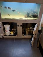 Kompleet   alles mag ook appart, Dieren en Toebehoren, Ophalen