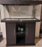 Juwel aquarium, Ophalen