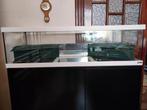 Aquarium pour tortue 100cm avec meuble filtre et accessoires, Enlèvement, Utilisé, Autres types