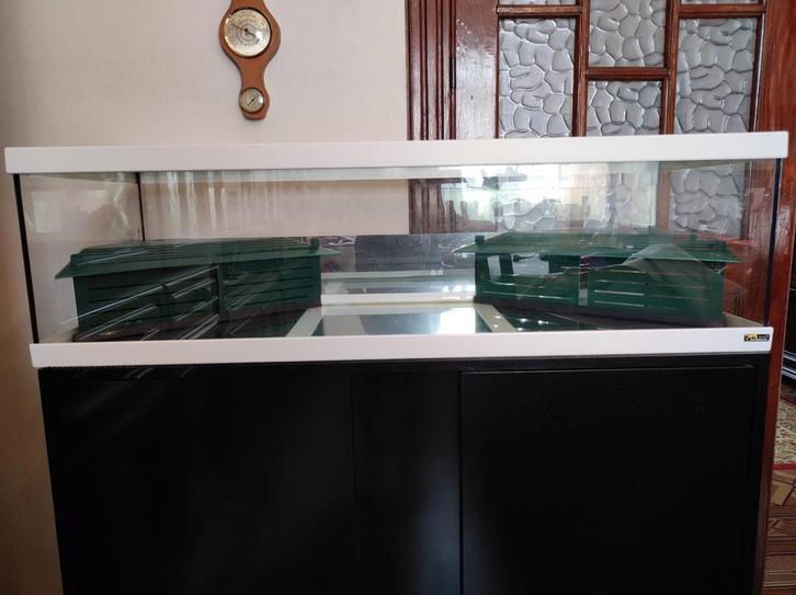 Aquarium pour tortue 100cm avec meuble filtre et accessoires, Dieren en Toebehoren, Reptielen en Amfibieën | Toebehoren, Gebruikt