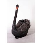 Swan Black – Zwaan beeld Hoogte 65 cm