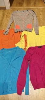 diverse truien of gilets maat Smal, Overige kleuren, Ophalen of Verzenden, Maat 36 (S), Gedragen