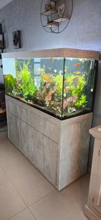 Aquatlantis 150x50 betongrijs, Zo goed als nieuw, Ophalen, Leeg aquarium
