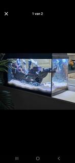 Aquarium juwel 125l, Ophalen, Zo goed als nieuw
