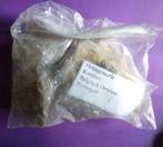 Hexagonaria koralen, Ophalen of Verzenden