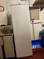 Congélateur Lienherr 8 compartiments, Congélateur, Classe énergétique A ou plus économe, 160 cm ou plus, Enlèvement