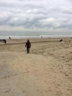 Man staat open voor leuke vriendschap met een vrouw of stel, Contacten en Berichten