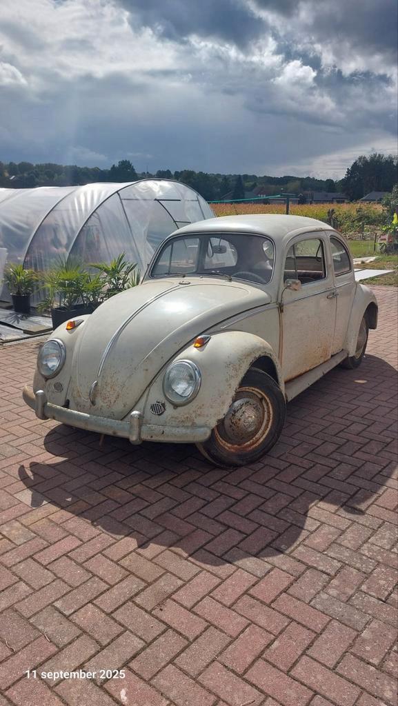 VW kever 1963 barnfind, Auto's, Oldtimers, Particulier, Ophalen