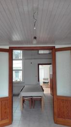 Prachtige authentieke dubbele binnendeur, Doe-het-zelf en Bouw, Ophalen, Gebruikt, Binnendeur, Glas