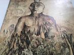 Frans Minnaert schilderijen 45pag, Ophalen of Verzenden, Zo goed als nieuw, Schilder- en Tekenkunst