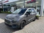 Citroen Berlingo ë-Shine, 100 kW, Argent ou Gris, Achat, Euro 6