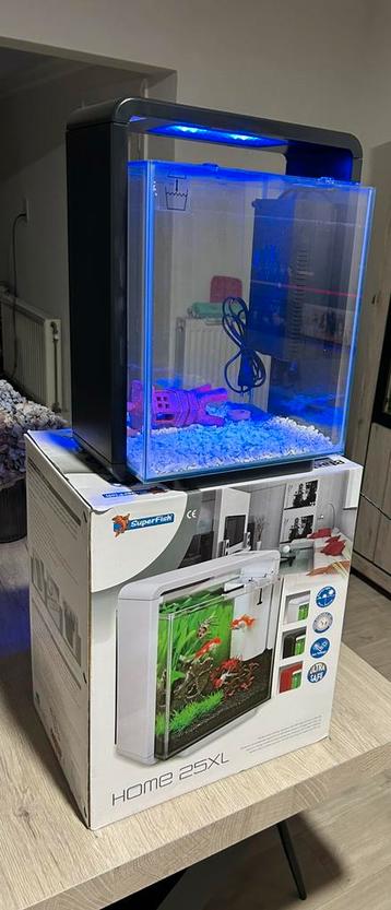 Aquarium beschikbaar voor biedingen