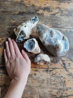 Verzameling stenen, Collections, Minéraux & Fossiles, Enlèvement