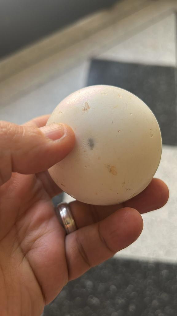 La lonsdaléite, Collections, Minéraux & Fossiles, Minéral, Enlèvement ou Envoi