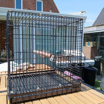 Transportkooi voor papegaai of andere kleine dieren. beschikbaar voor biedingen