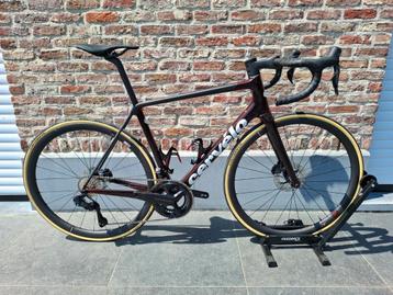 Cervelo R5 Ultegra di2 maat 56 beschikbaar voor biedingen