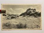 Carte postale St-Idesbald La Dune sauvage, Collections, Affranchie, Flandre Occidentale, 1940 à 1960, Enlèvement ou Envoi