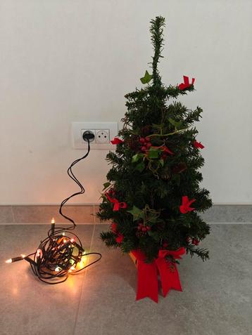 Kunstkerstboompje met gekleurde lampjes H50cm beschikbaar voor biedingen