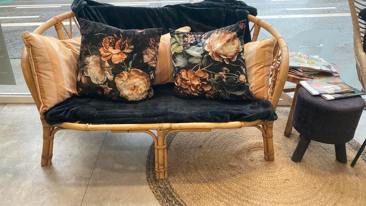 Divan en osier, Maison & Meubles, Canapés | Salons, Utilisé, Enlèvement