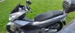 Honda PCX 125, Motos, Motos | Honda, Particulier