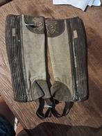 Chaps, 12 jaar, Gebruikt, Kinderen, Dressuur, Ophalen of Verzenden