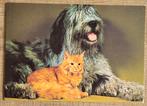 Oude postkaart: hond en kat, Ophalen of Verzenden, 1980 tot heden, Gelopen, Hond of Kat