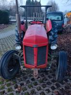 tractor, Enlèvement, Oldtimer/Ancêtre, Massey Ferguson