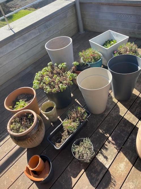 Plantenpotten, Tuin en Terras, Bloempotten, Zo goed als nieuw, Aardewerk, Balkon, Tuin, 40 tot 70 cm, 40 cm of meer, Overige vormen