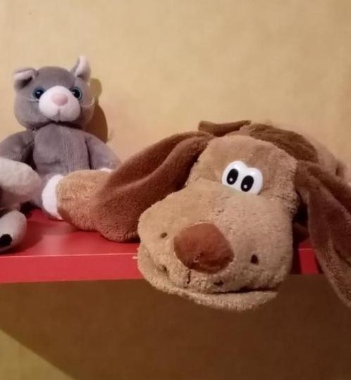 2 zachte knuffels , nieuw poes( kat ) + grote hond (30cm), Kinderen en Baby's, Speelgoed | Knuffels en Pluche, Nieuw, Poes, Ophalen of Verzenden