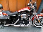 sportster 1200cm3 custom limited garantie 1.2.3ans jhb, Motos, Permis Moto A, Entreprise, Plus de 35 kW, Chopper