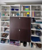 Molteni 505 CD-boekenkast, Huis en Inrichting, Ophalen, Met deur(en), 200 cm of meer, 200 cm of meer