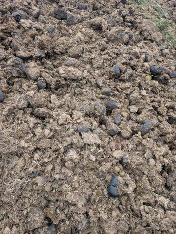Pure paardenmest, Tuin en Terras, Aarde en Mest, Ophalen, Mest