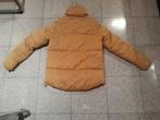winterjas, Vêtements | Femmes, Vestes | Hiver, Enlèvement ou Envoi, Taille 38/40 (M)