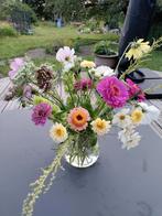 Zaden van eenjarigen, Tuin en Terras, Ophalen of Verzenden