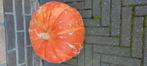 Pompoenen, Tuin en Terras, Ophalen, Zo goed als nieuw