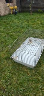 Cage, Enlèvement ou Envoi