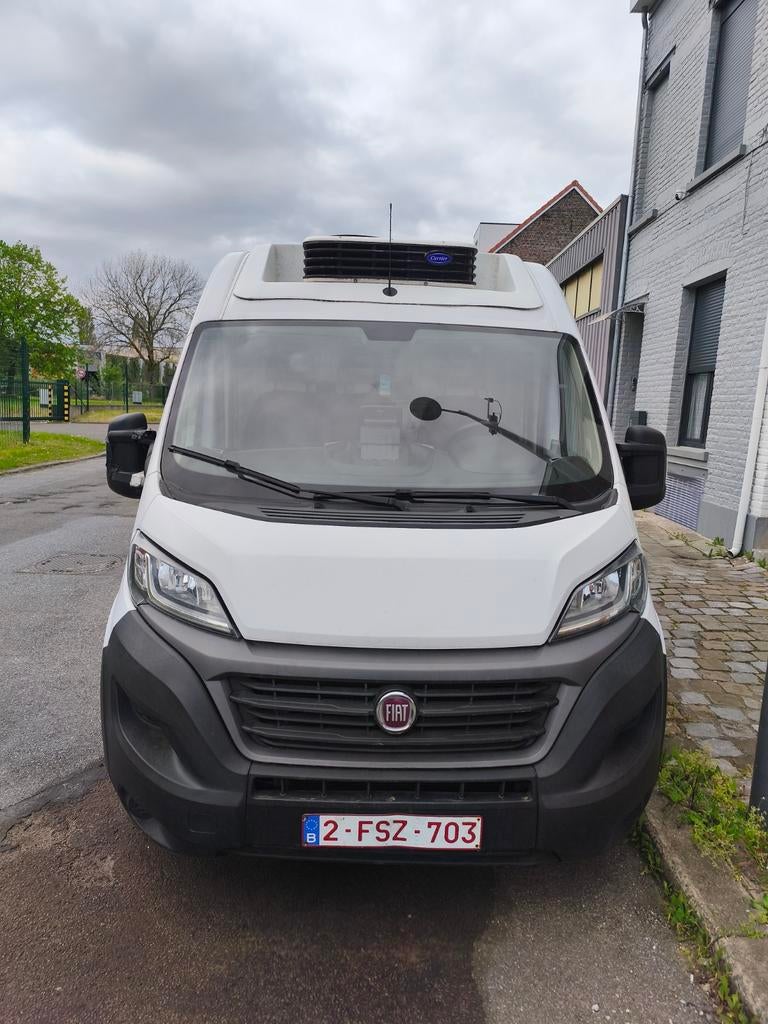 FIAT DUCATO FRIGORIFIQUE, Autos, Achat, Particulier, TVA déductible, Ducato