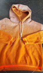 Sweater CKS 12jaar, Ophalen of Verzenden, Zo goed als nieuw, Cks, Meisje