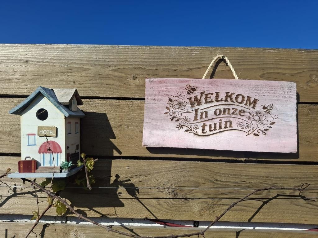 “Perfect cadeau voor tuinliefhebbers  Handgemaakt!”, Jardin & Terrasse, Plantes | Jardin, Autres espèces, Plein soleil, Été, Enlèvement